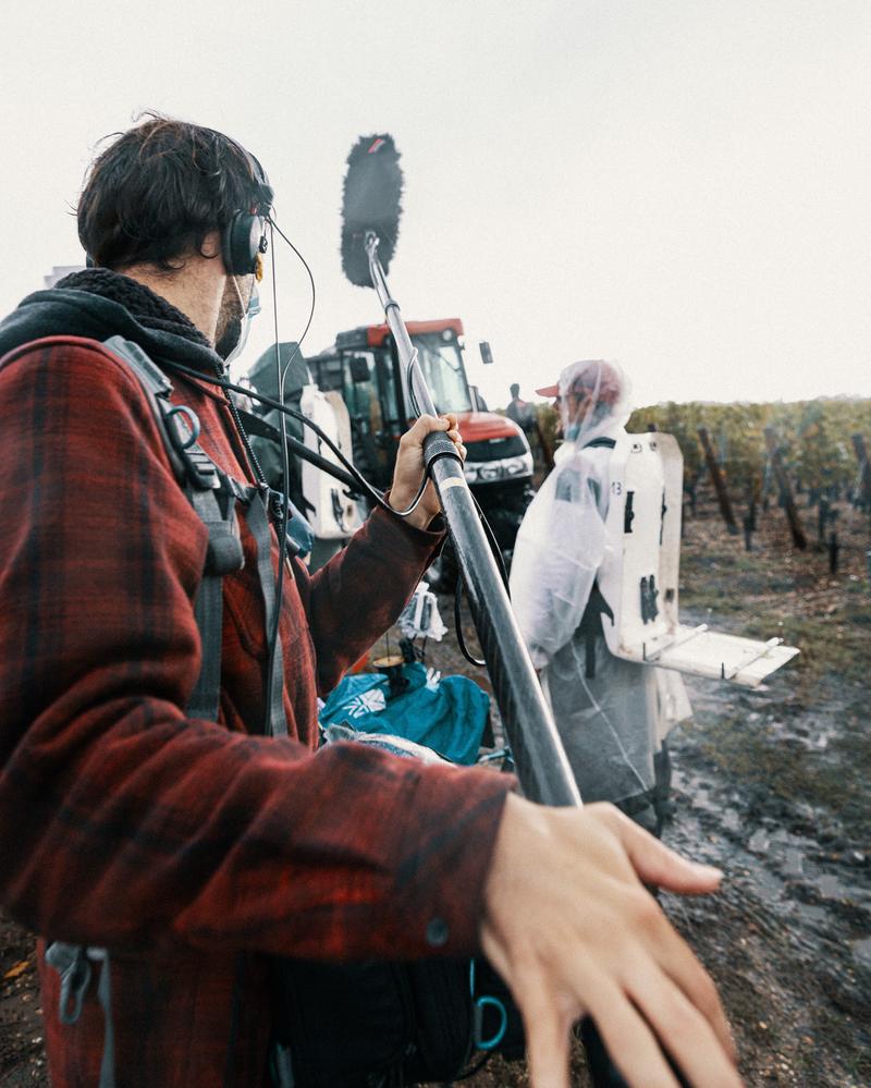 View from behind as man uses boom microphone to record harvest sounds