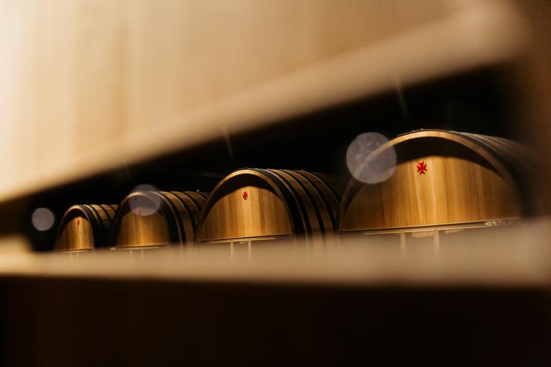 Reflection of wooden vats used to store Champagne Lanson's reserve wines