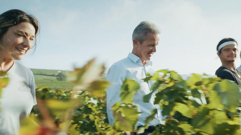 Hervé Dantan walking through vines with vineyard growing partners