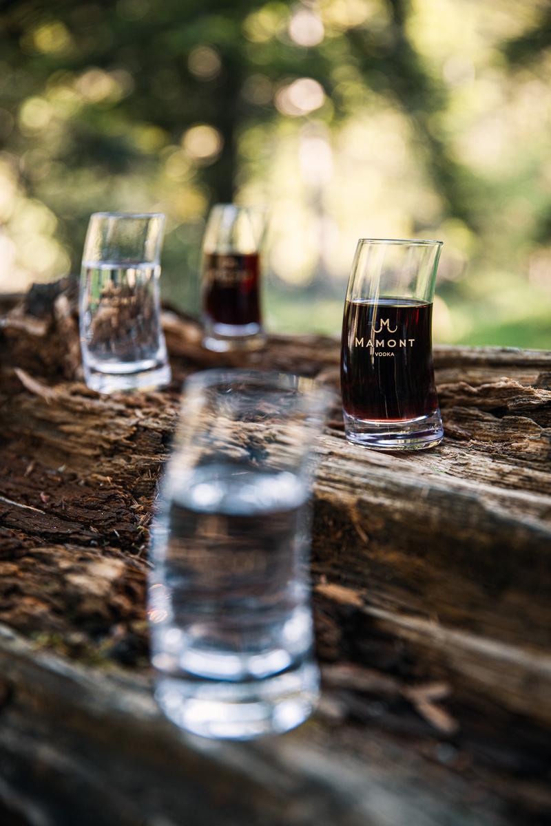 Mamont vodka shot glasses sat on fallen tree trunk in woods